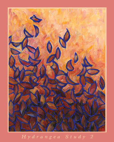 Hydrangea Study 2 Poster