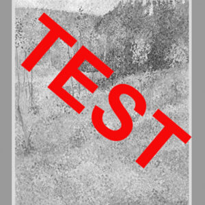 Test